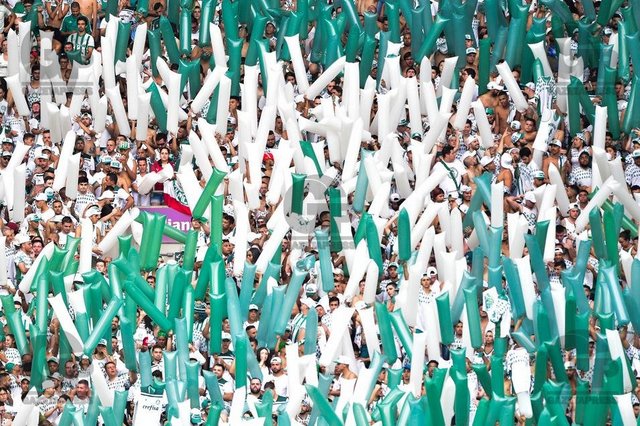 Palmeiras sao paulo 1