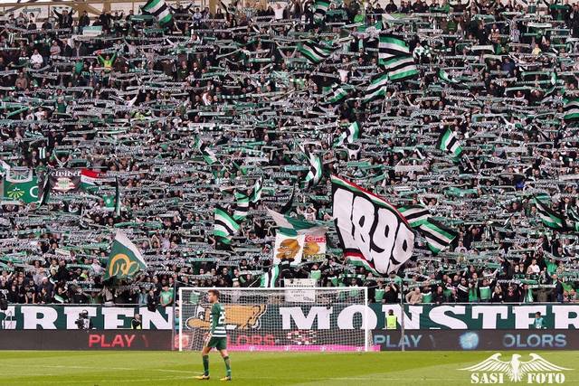 Interview With Capo Of Green Monsters Ferencvaros