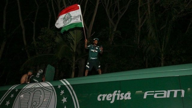 palmeiras santos 1