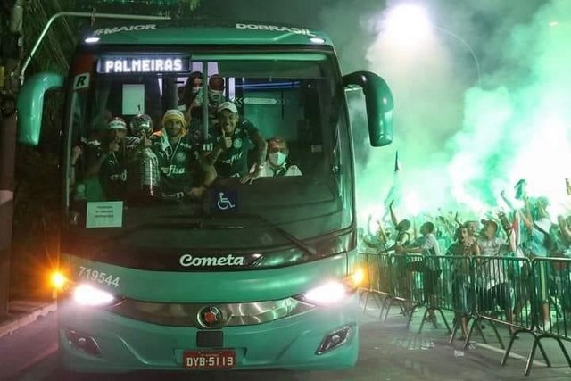 palmeiras santos 1