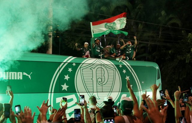 palmeiras santos 1