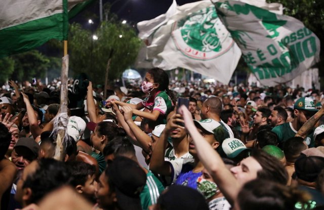 palmeiras santos 1