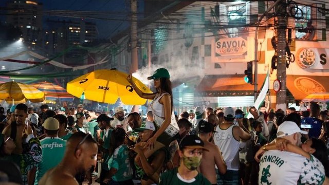 palmeiras santos 1