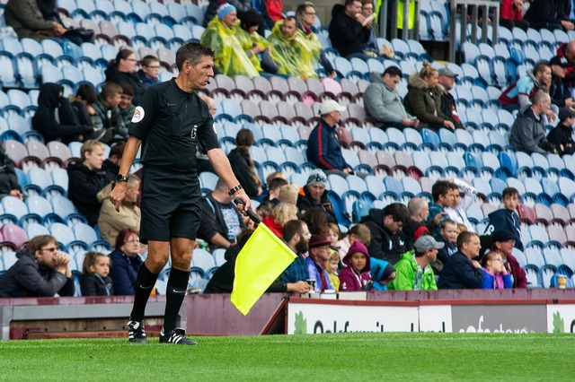 linesman 3575425 1280